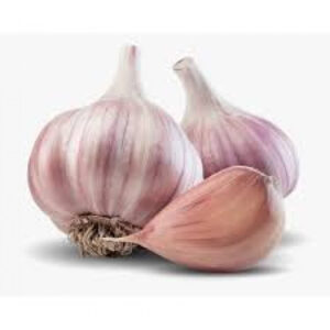 Garlic