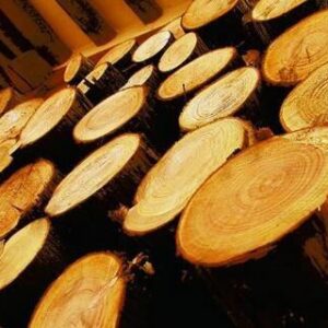 Wood